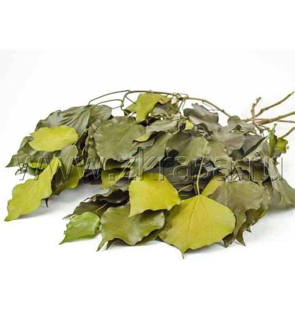 Сухие листья купить. Плющ обыкновенный (листья) сушеный. Хедера листья сушеные. Dry Ivy Plant. Хедера семена купить.